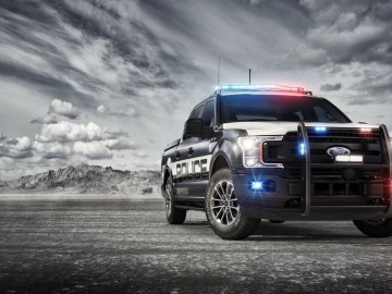 Fordy w służbie policji
